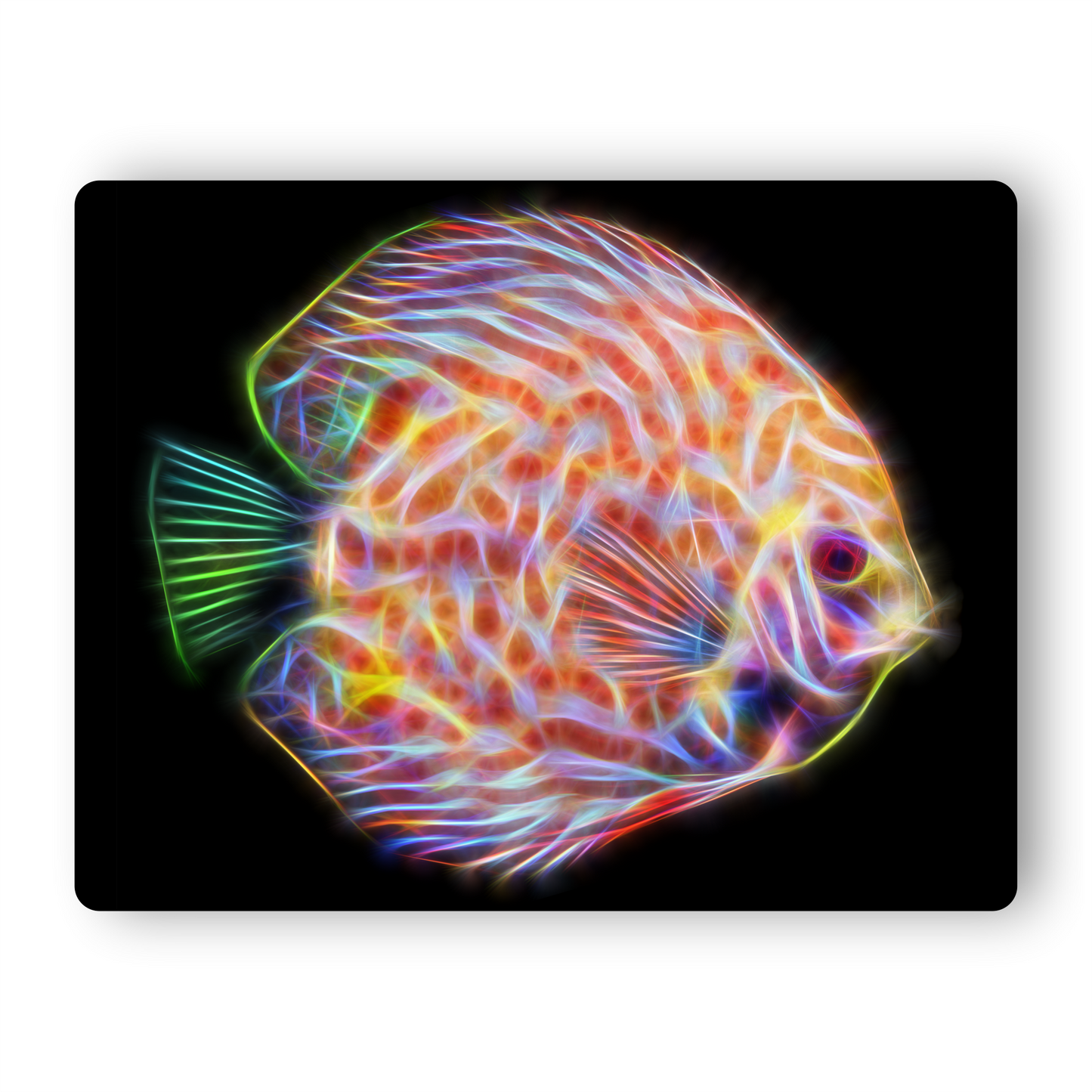 Discus Metal Wall Plaque