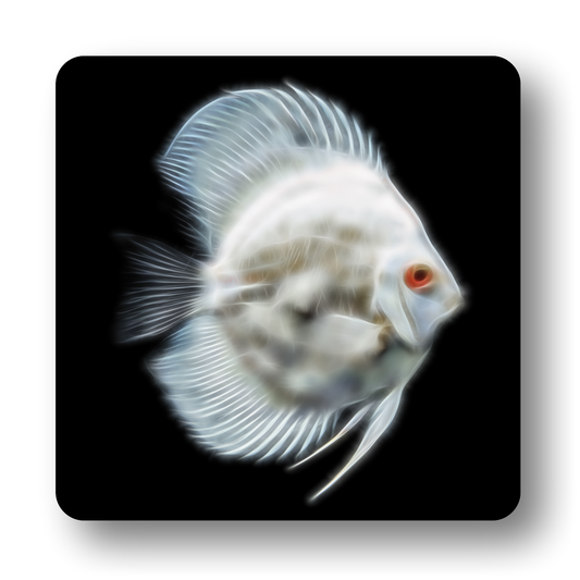 Discus Fish Coasters - Various Designs