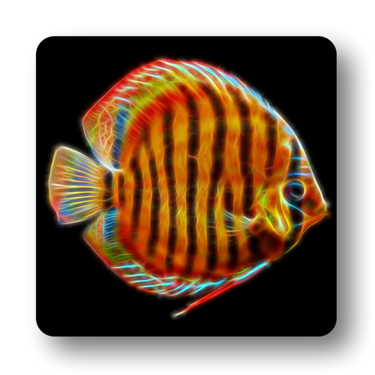 Discus Fish Coasters - Various Designs