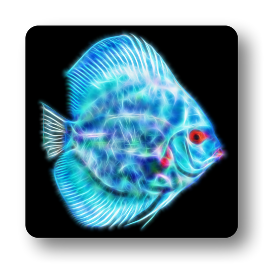 Discus Fish Coasters - Various Designs