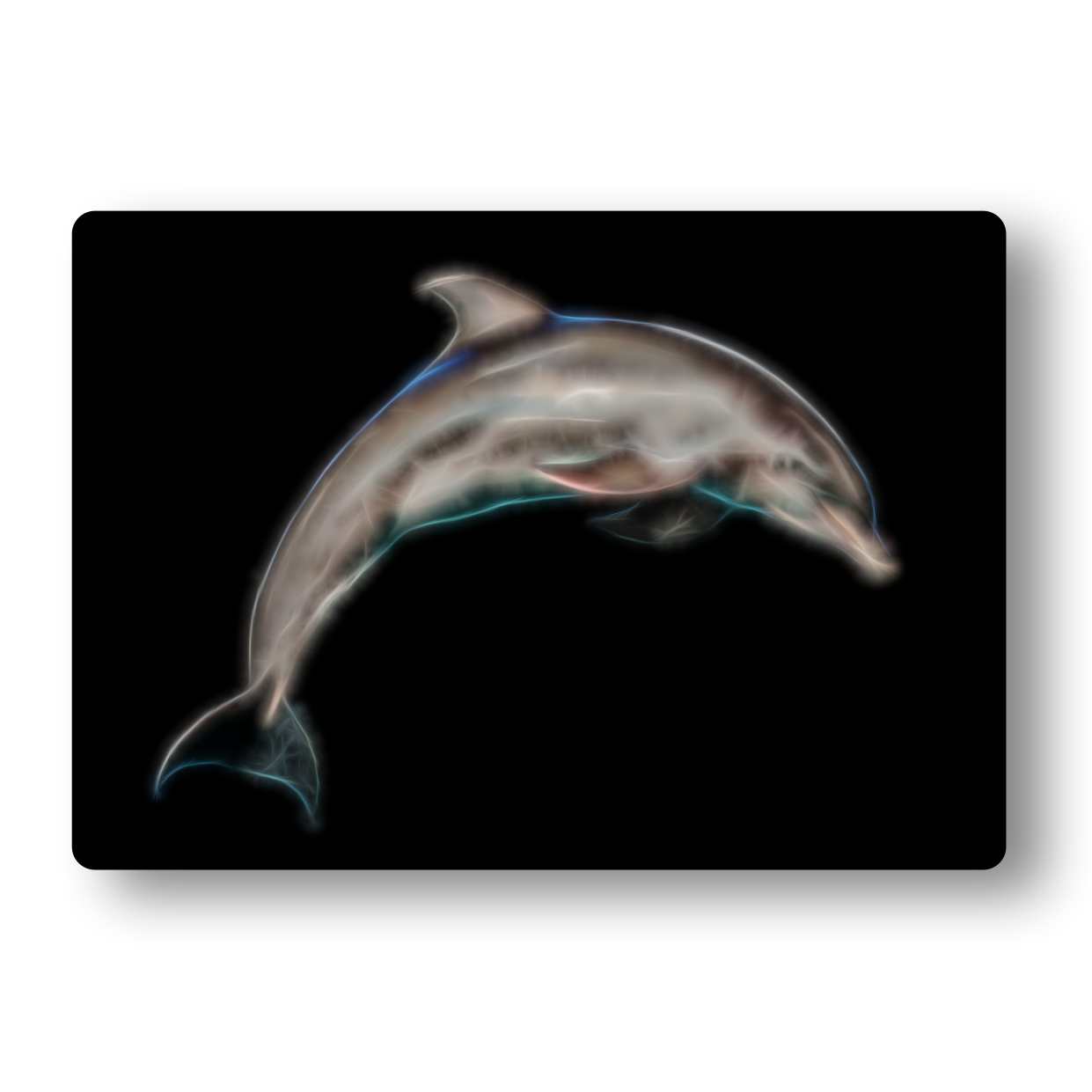 Dolphin Fractal Art Metal Wall Plaque