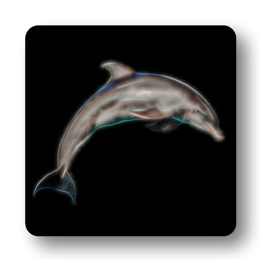 Marine Life Coasters - Various Designs
