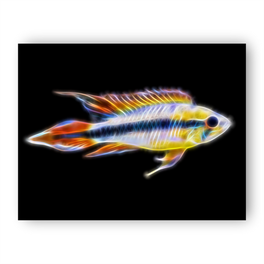 Double Red Dwarf Apistogramma Cichlid Fish Metal Wall Plaque.