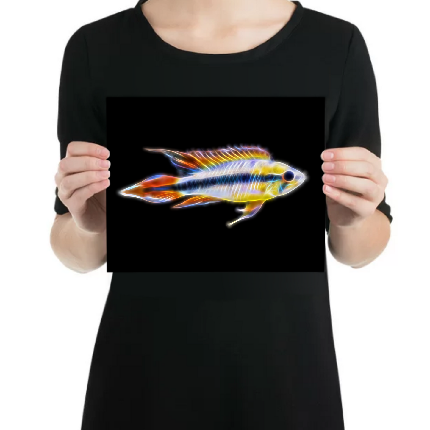 Double Red Dwarf Apistogramma Cichlid Fish Metal Wall Plaque.