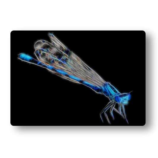 Dragonfly Metal Wall Plaque