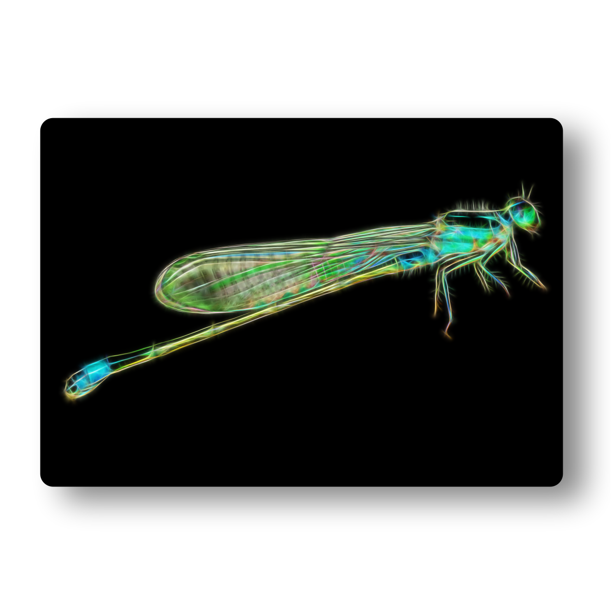 Dragonfly Metal Wall Plaque