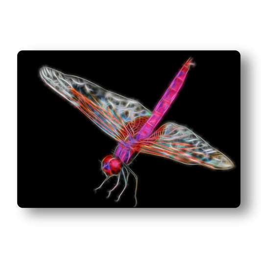 Dragonfly Metal Wall Plaque