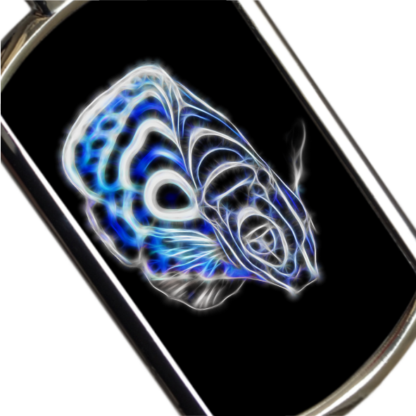 Angelfish Keyrings - Various Designs