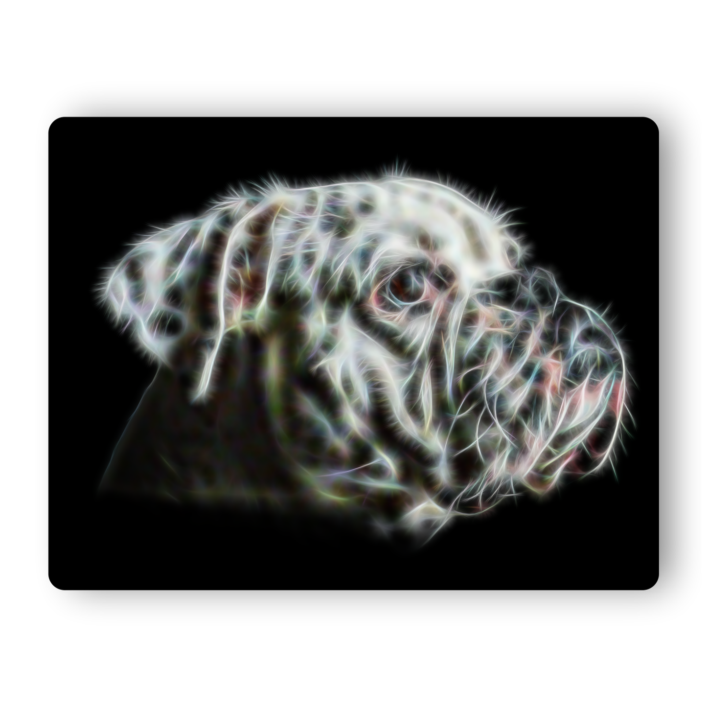 White English Bulldog Aluminium Metal Wall Plaque
