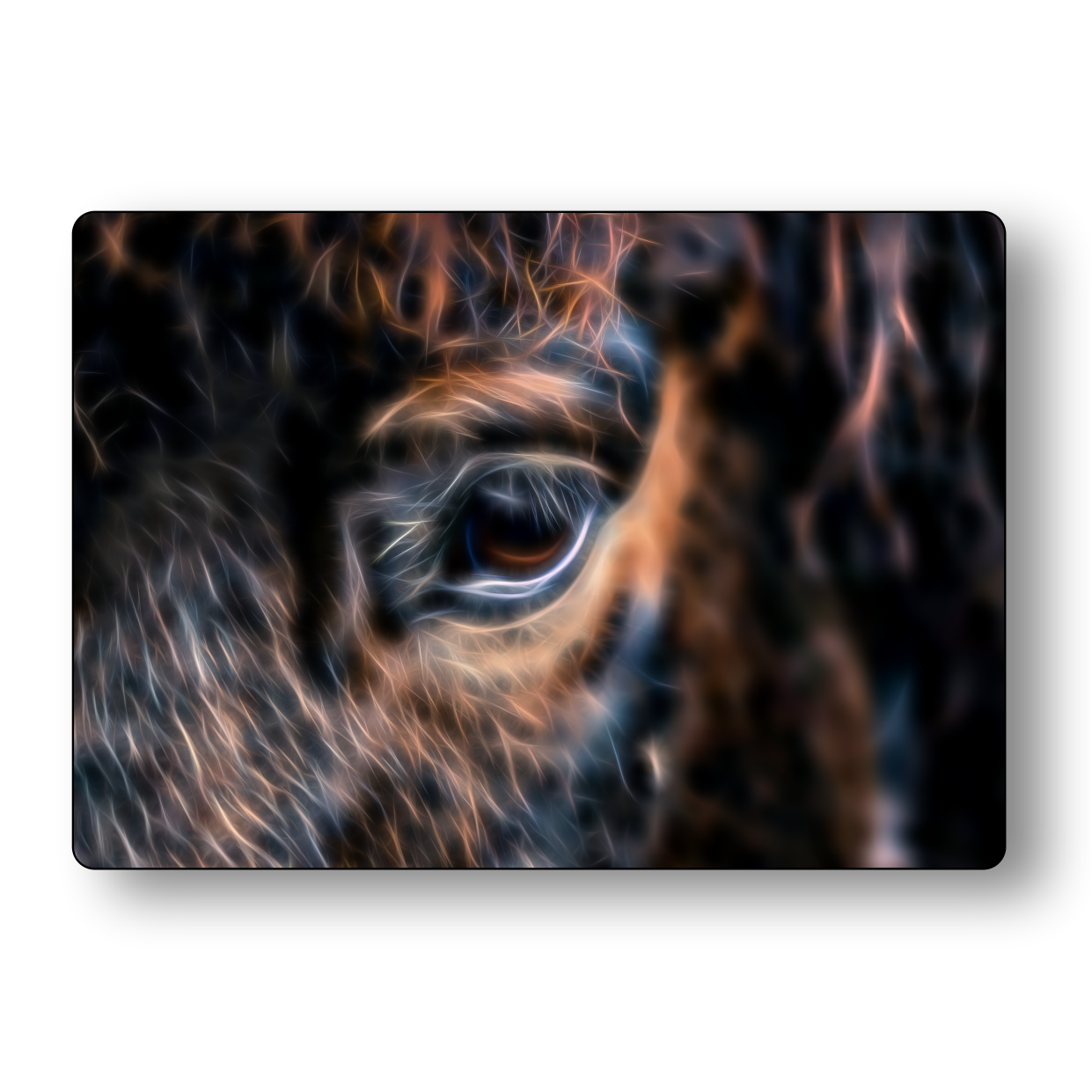 Horse Eye Metal Wall Plaque