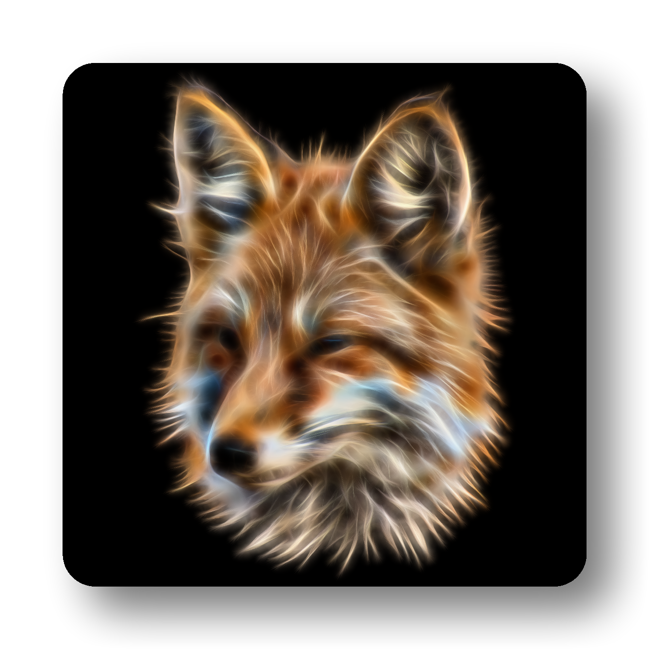 Fox Coaster