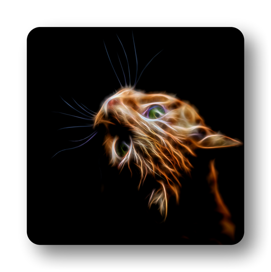 Cat Coaster with Fractal Art Design