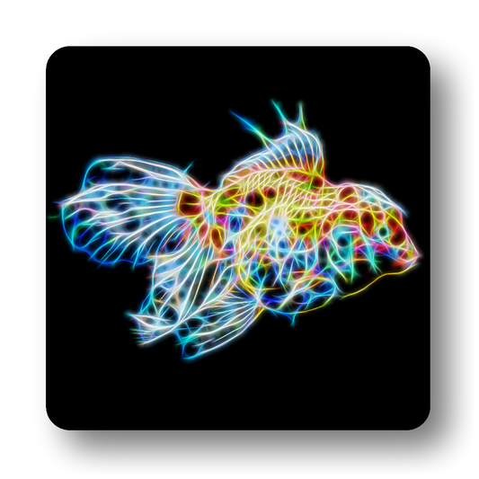 Oranda Goldfish Coaster