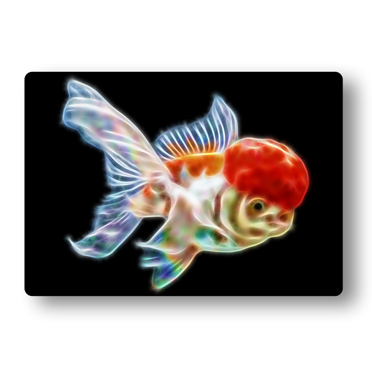 Goldfish (Oranda) Fractal Art Metal Wall Plaque