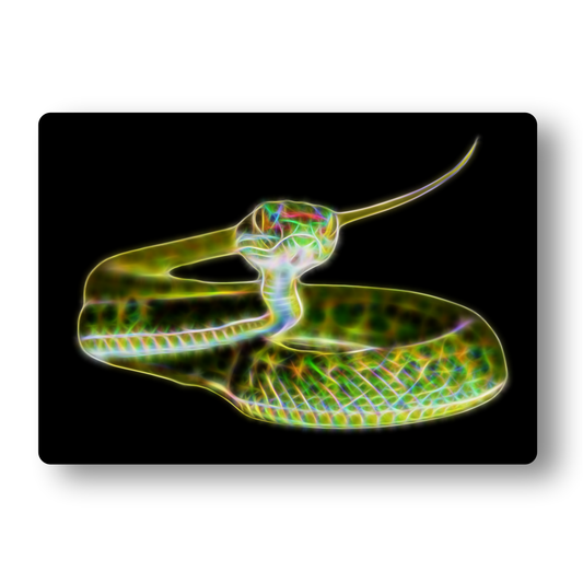 Reptile Print with Stunning Fractal Art Design. Various Sizes and Designs Available. Chamaeleon Gecko Snake Tortoise