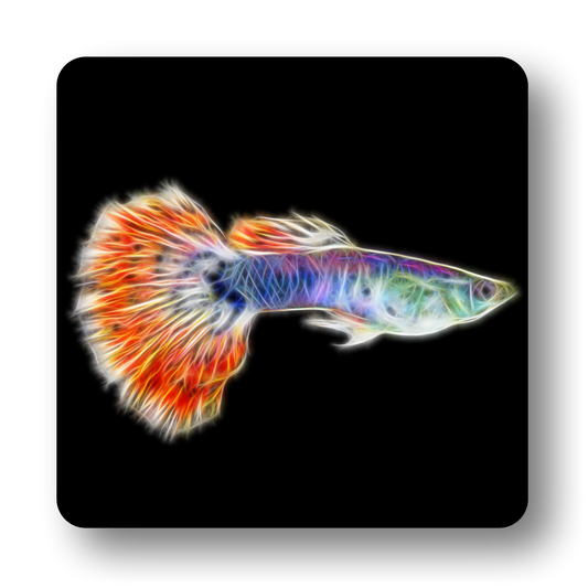 mosaic guppy coaster