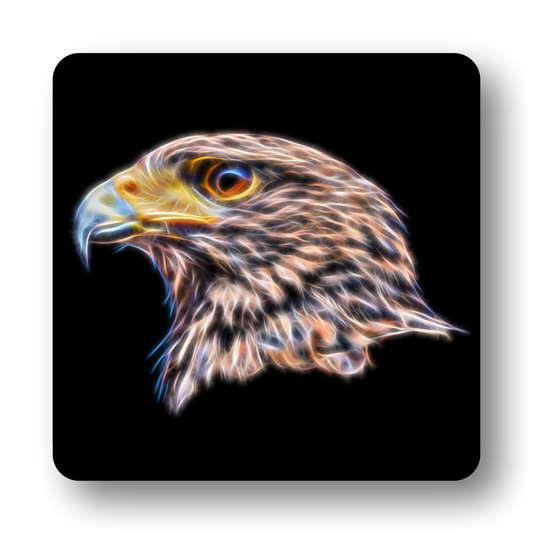 Harris Hawk Coaster