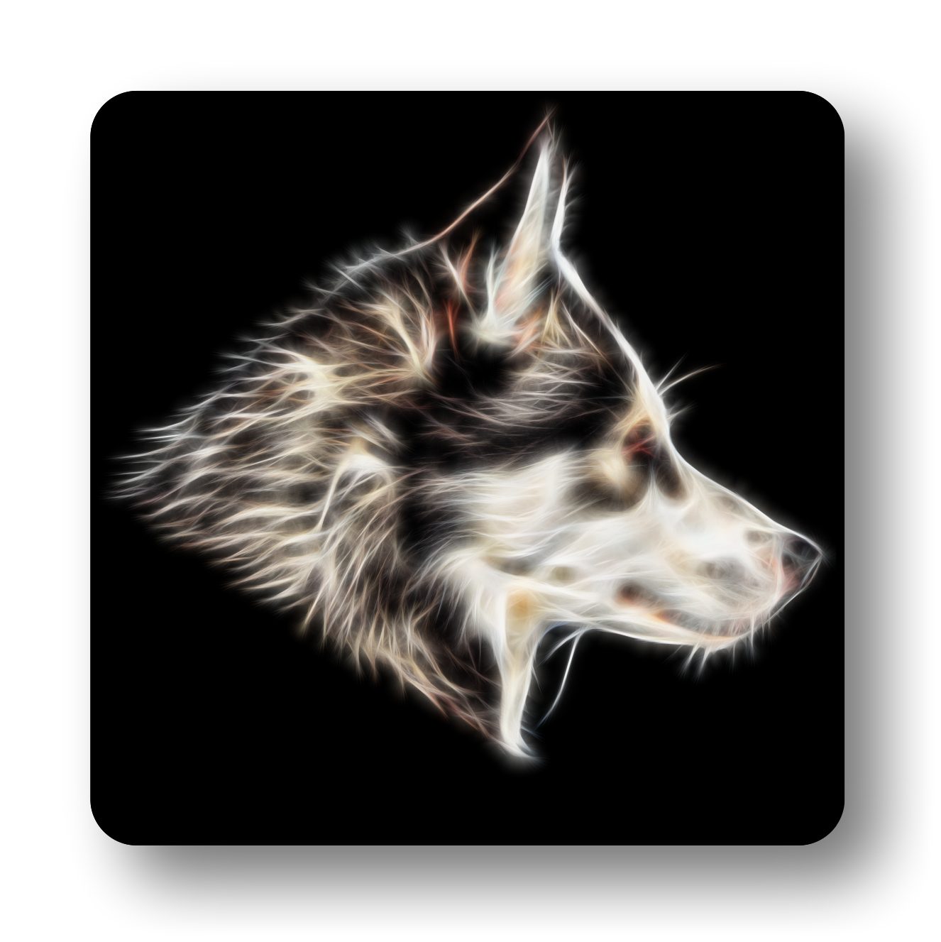 Husky Coaster Fractal Art Design