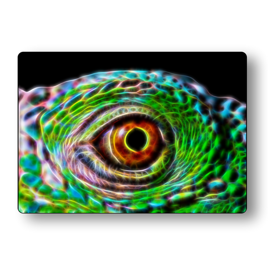 Iguana Eye Metal Wall Plaque