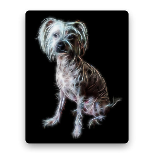 Chinese Crested Dog Aluminium Metal Wall Plaque with Stunning Fractal Art Design.