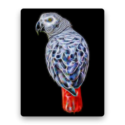 African Grey Parrot Metal Wall Plaque Fractal Art Design