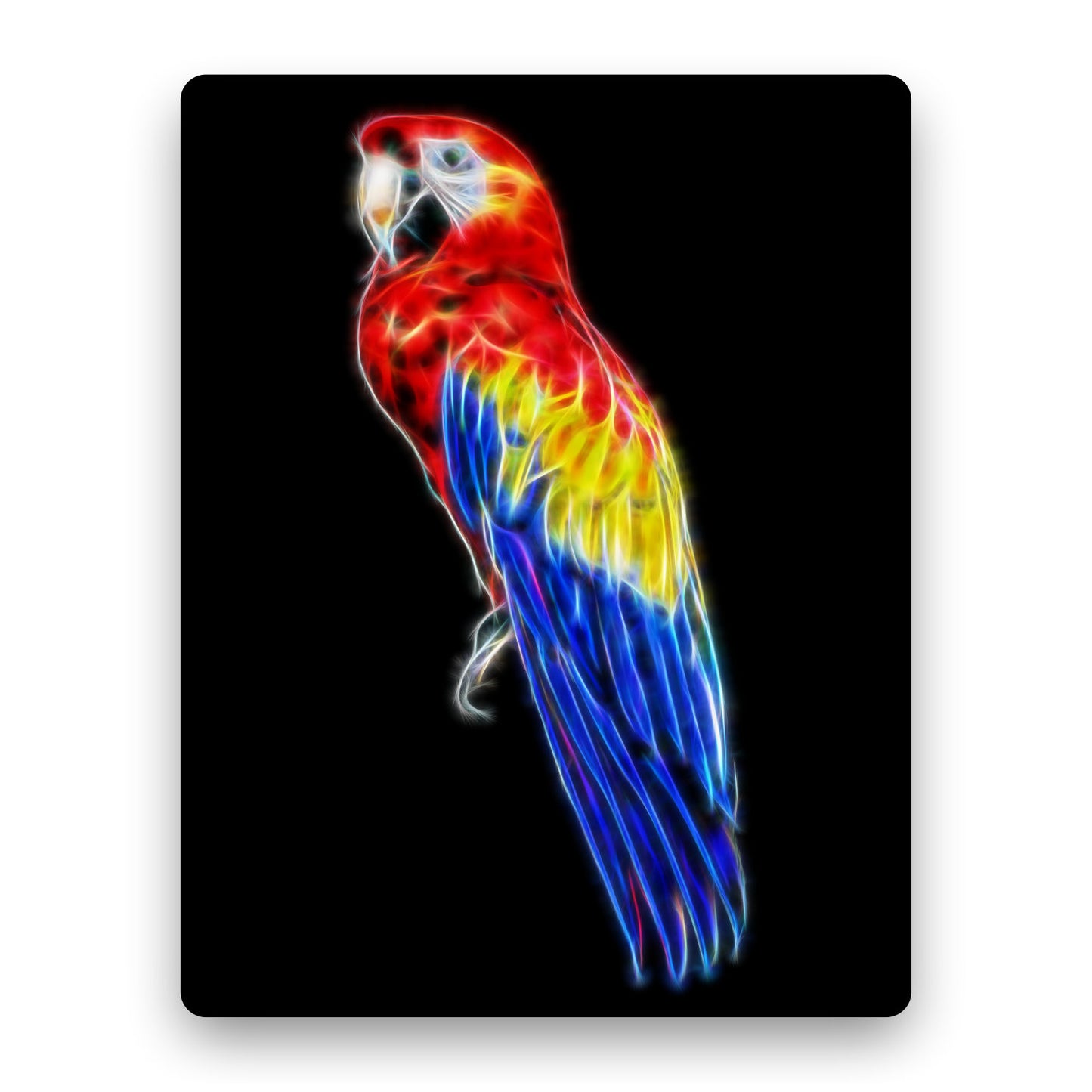 Scarlet Macaw Parrot Metal Wall Plaque