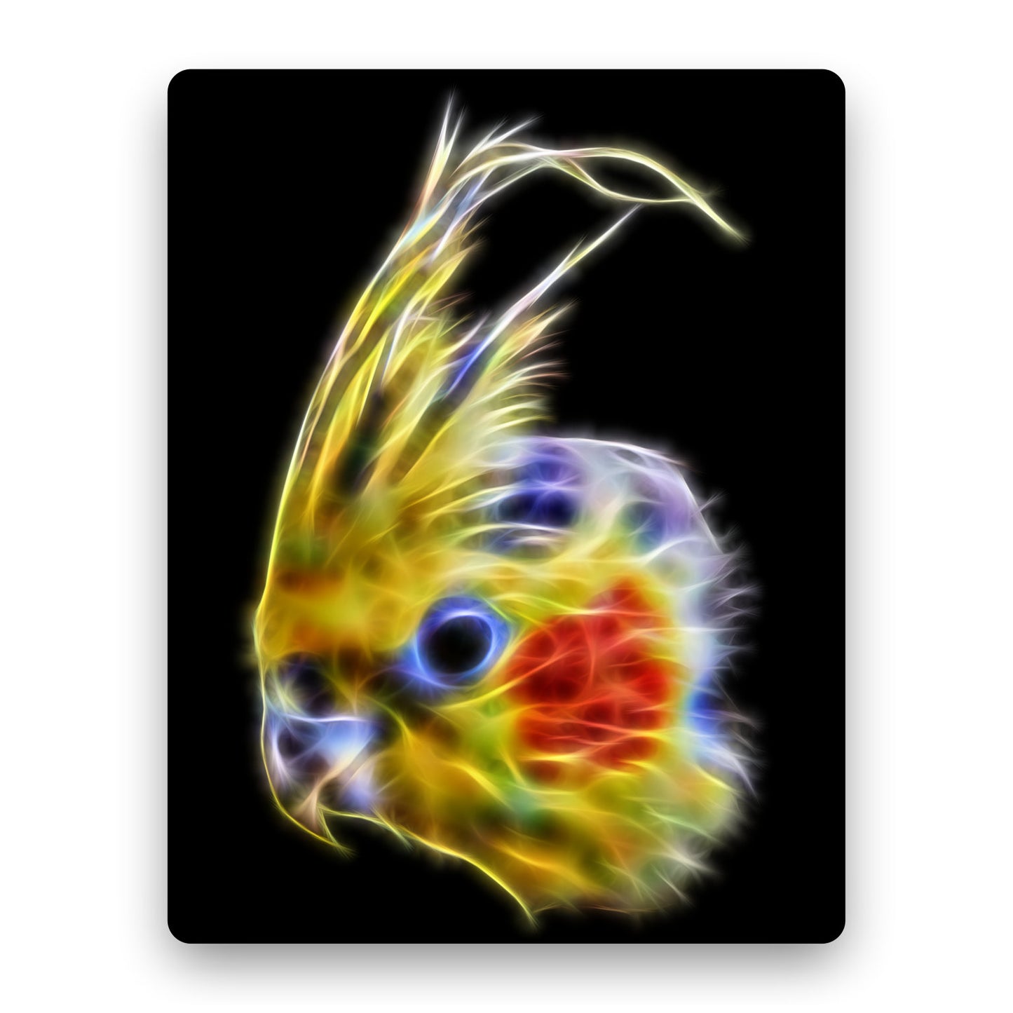 Cockatiel Aluminium Metal Wall Plaque with Stunning Fractal Art Design.