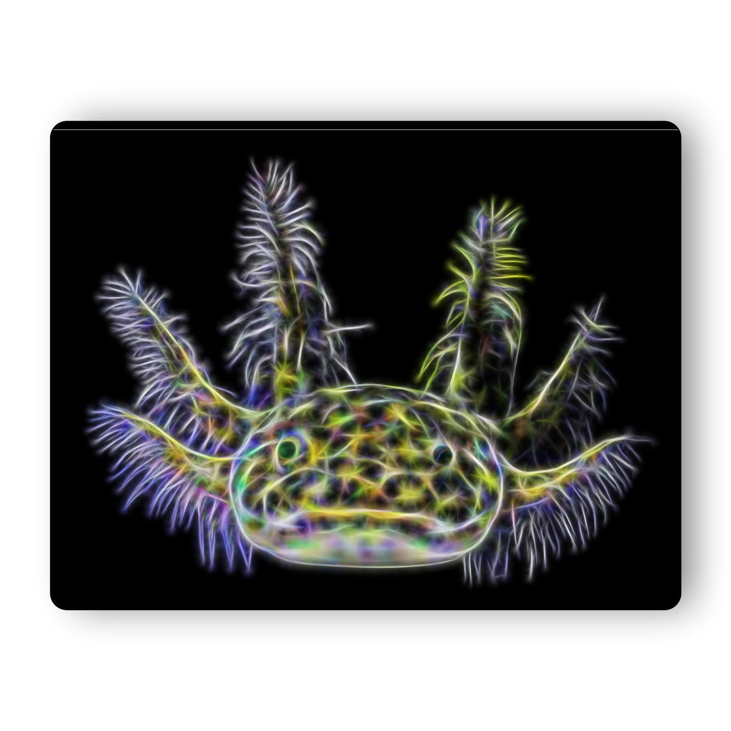 Green Axolotl Aluminium Metal Wall Plaque