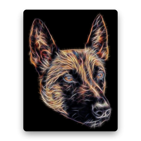 Belgian Malinois Aluminium Metal Wall Plaque. Perfect Belgian Shepherd Owner or Dog Lover Gift.