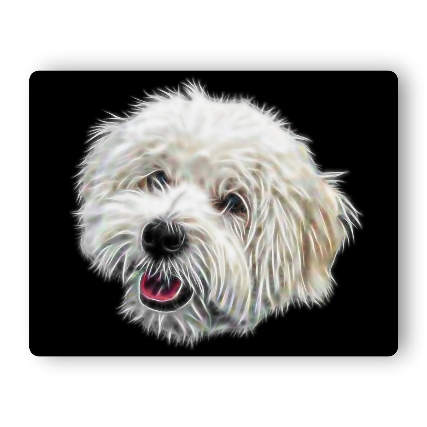 Coton De Tulear Metal Wall Plaque with Stunning Fractal Art Design