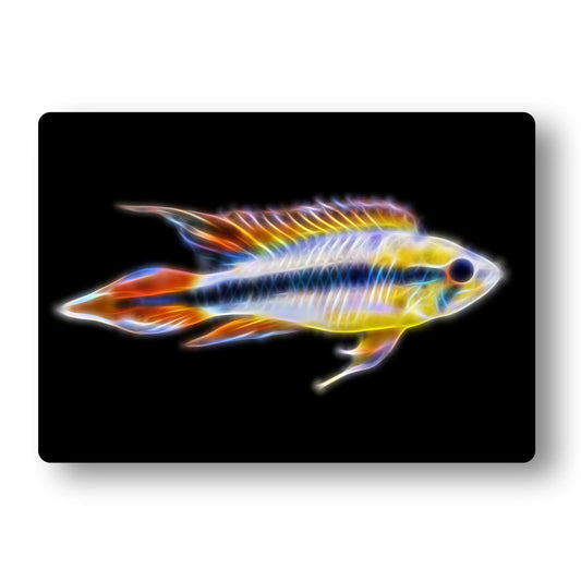Apistogramma Cichlid Fish Aluminium Metal Wall Plaque.