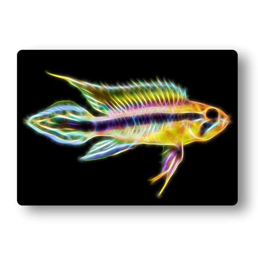 Apistogramma Cichlid Fish Aluminium Metal Wall Plaque.