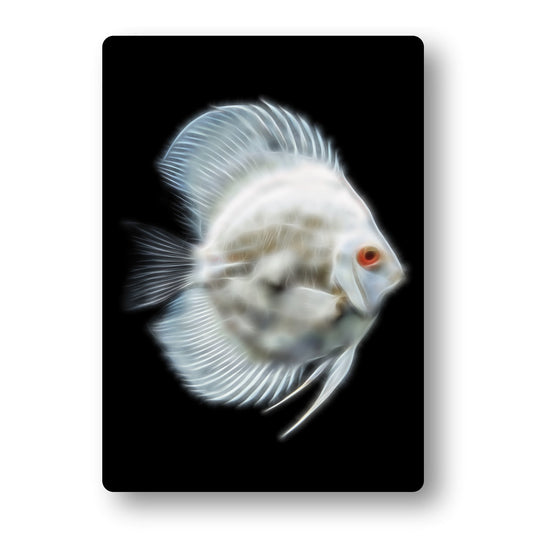 Discus Fish Metal Wall Plaque with Stunning Fractal Art Designs