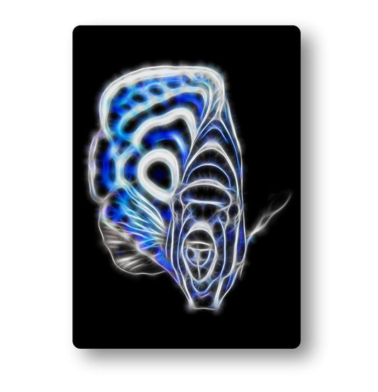 Angelfish Aluminium Metal Wall Plaque with Stunning Fractal Art Design.