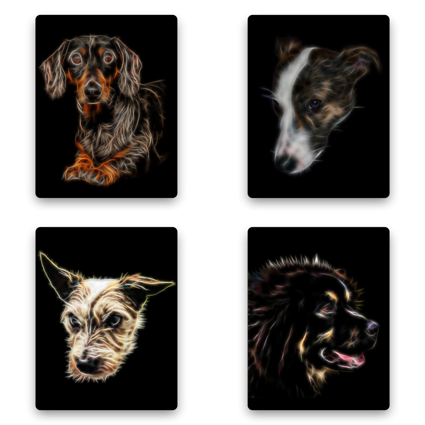 Custom Pet Portrait Dog Portrait Fractal Art Style Printed onto Aluminium Metal Wall Plaque