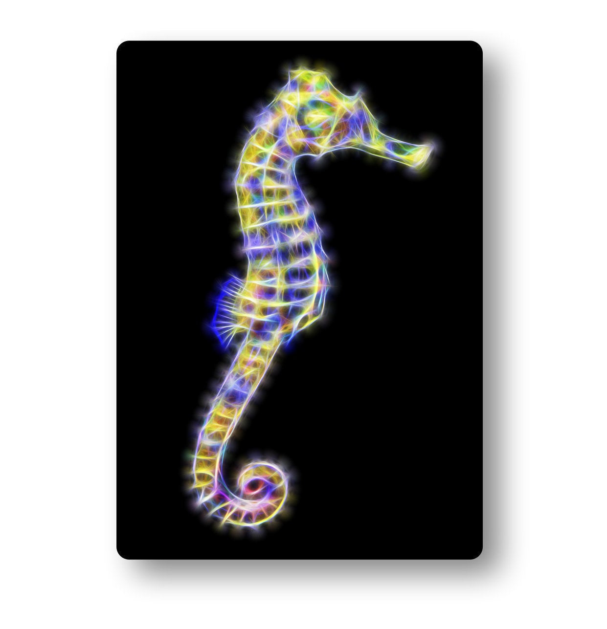 Yellow Lined Seahorse Aluminium Metal Wall Plaque
