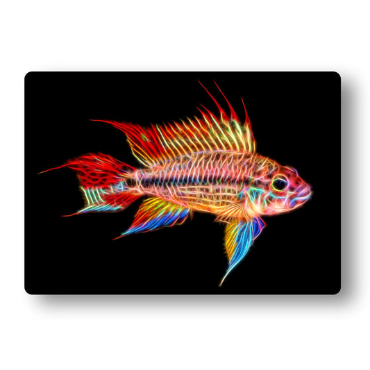 Apistogramma Cichlid Fish Aluminium Metal Wall Plaque.