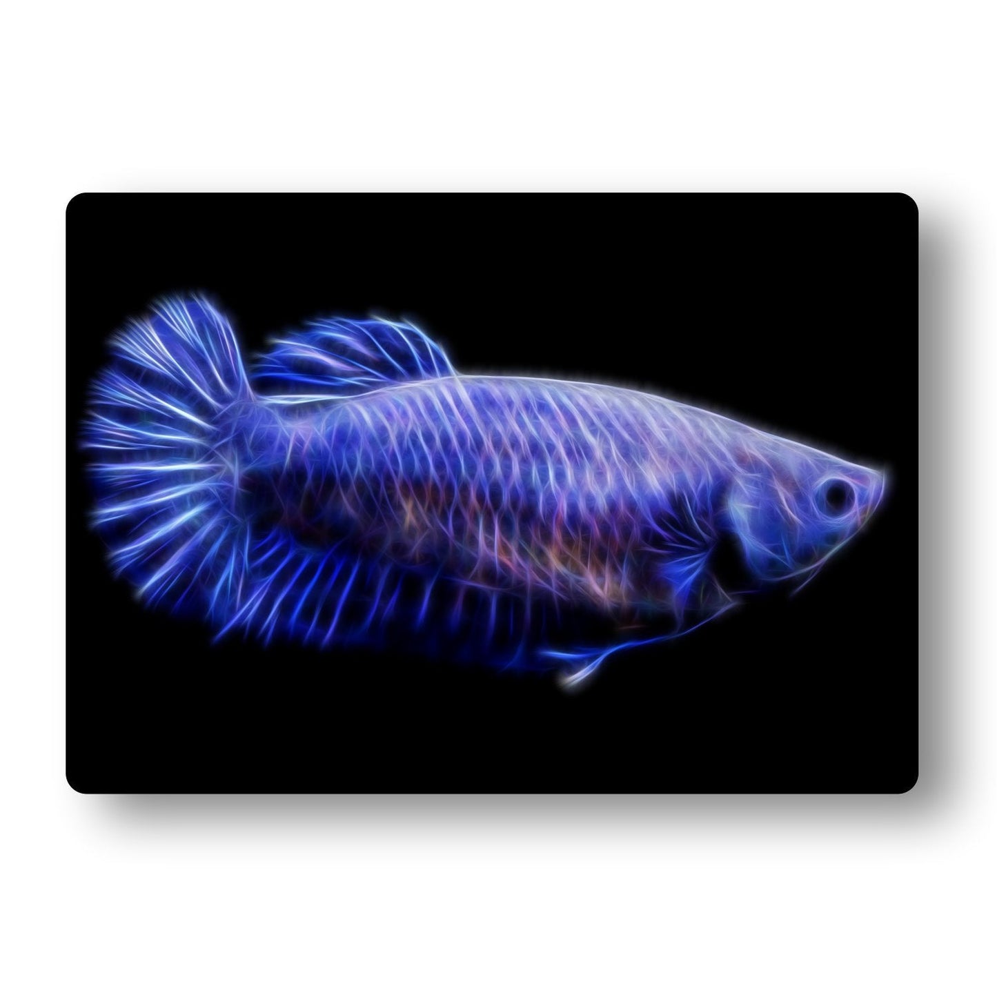 Blue Female Plakat Betta Aluminium Metal Wall Plaque