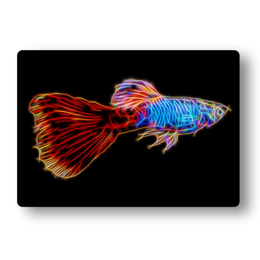 Red Tail Guppy Aluminium Metal Wall Plaque
