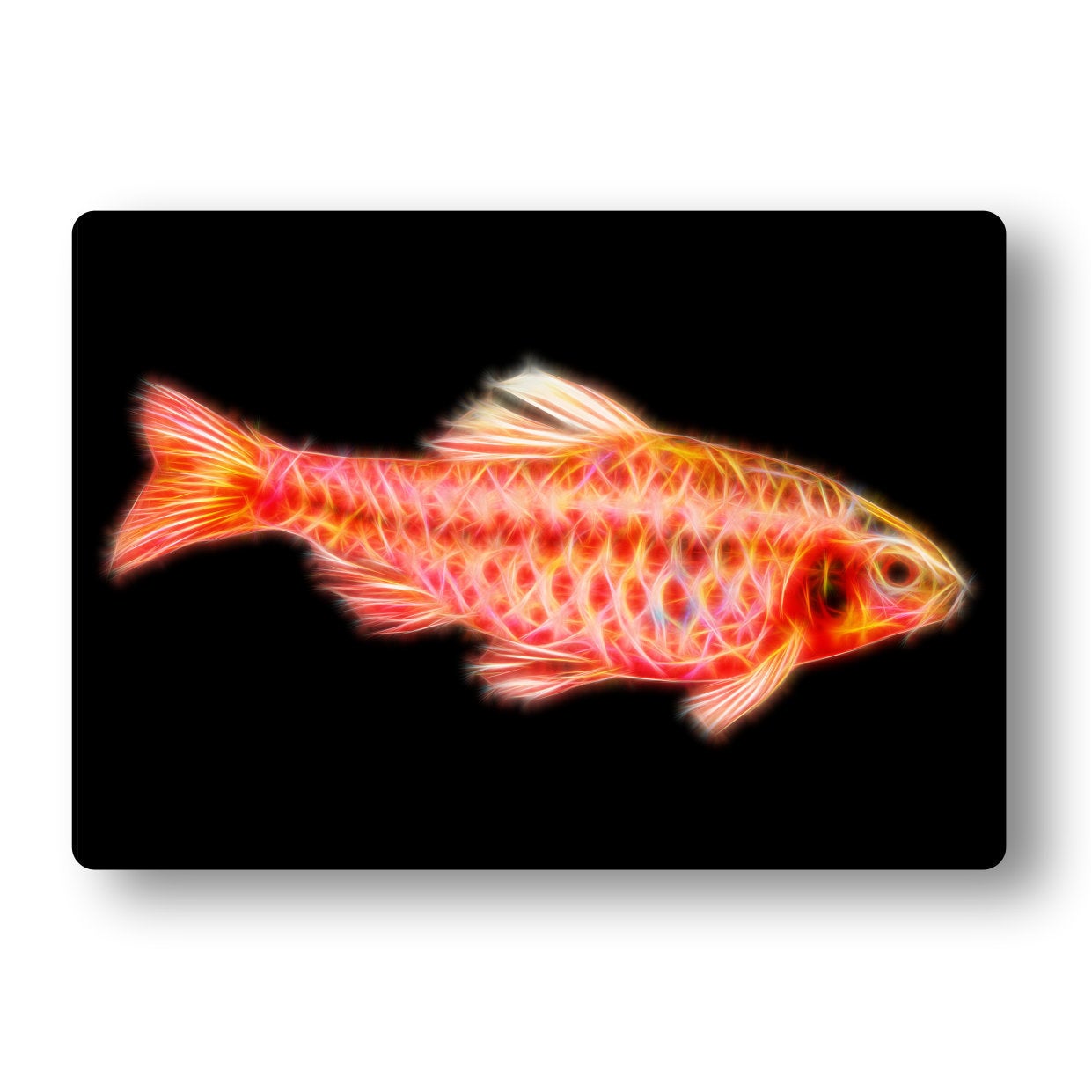 Cherry Barb Fish Aluminium Metal Wall Plaque