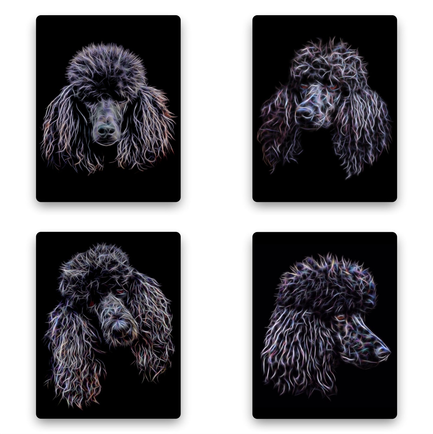 Black Standard Poodle Metal Wall Plaque with Stunning Fractal Art Design.