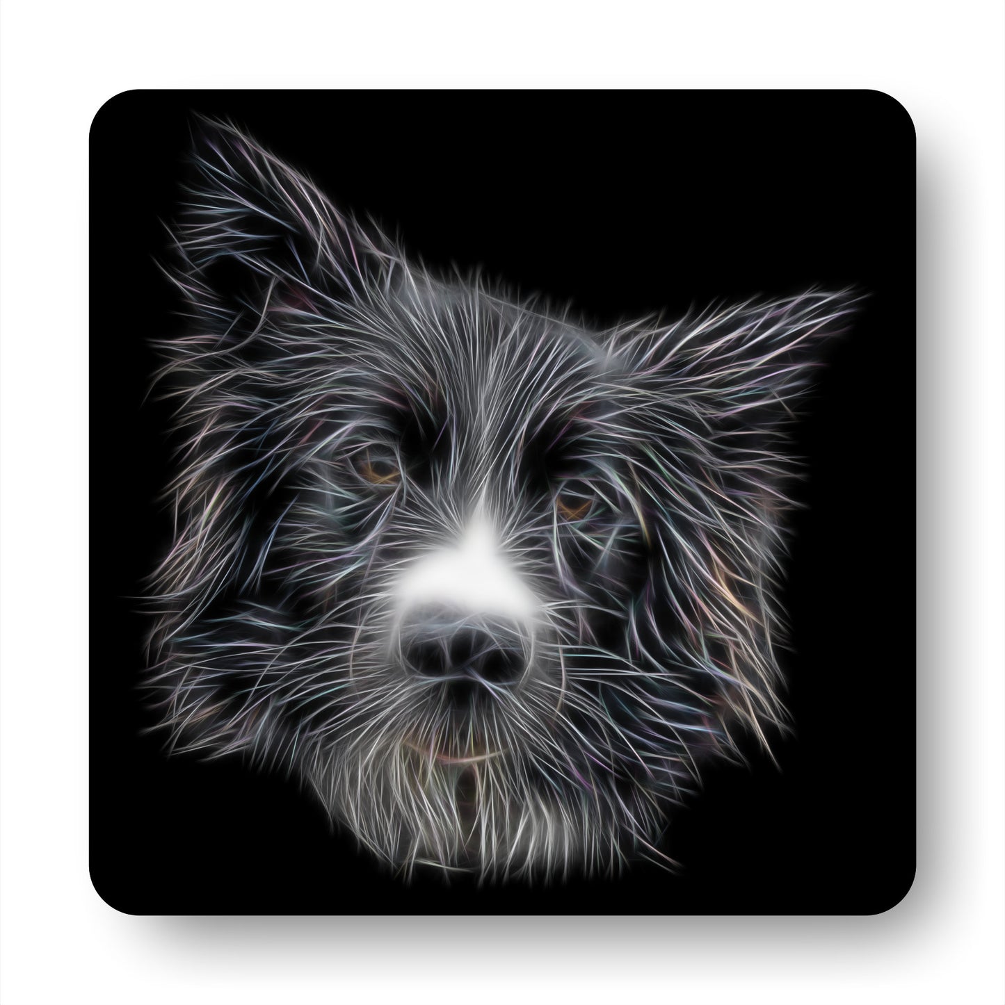 Border Collie Coasters with Stunning Fractal Art Design. Perfect Border Collie Owner Gift.