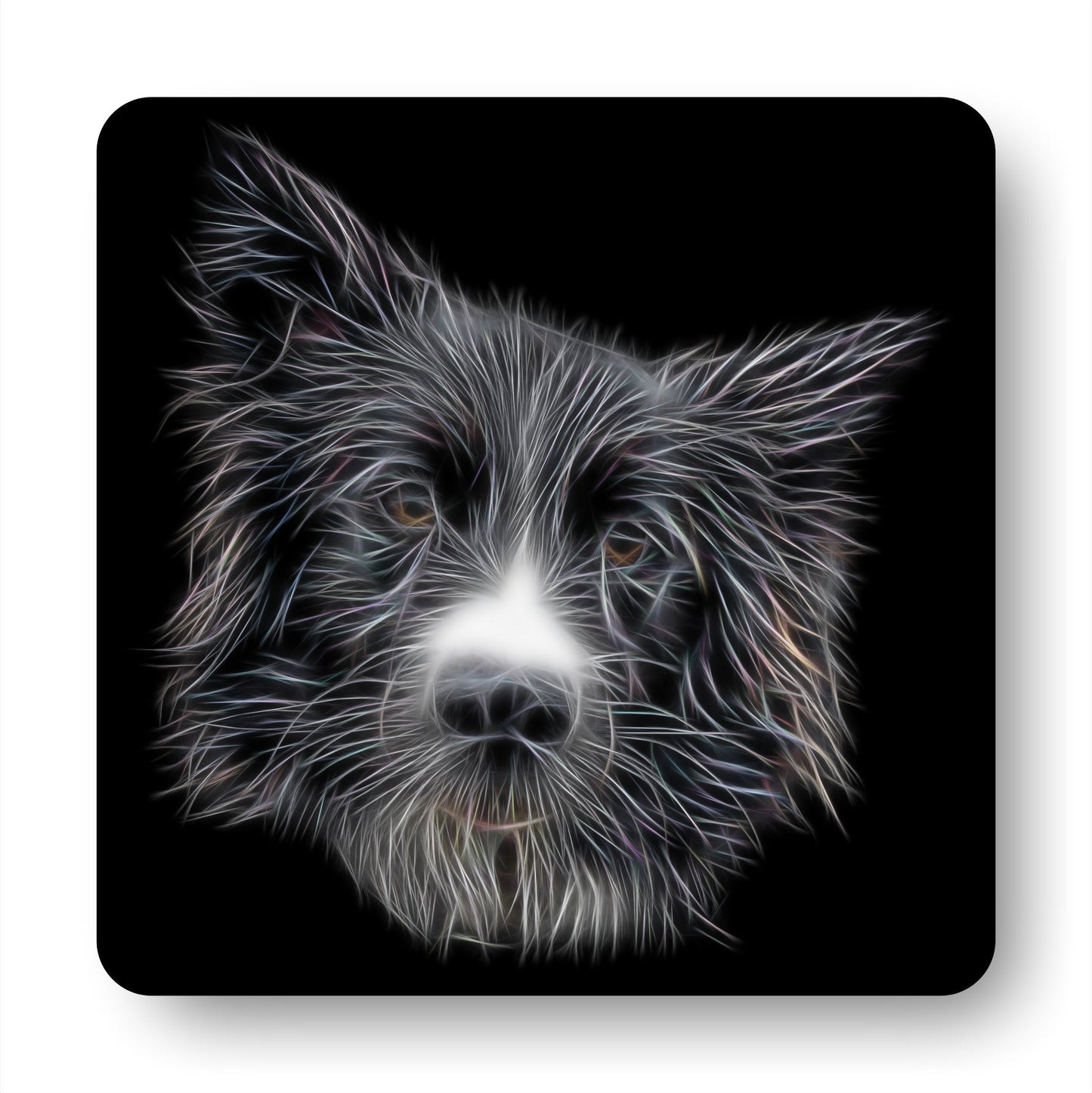 Border Collie Coasters, Set of 2, with Stunning Fractal Art Design. Perfect Border Collie Owner Gift.