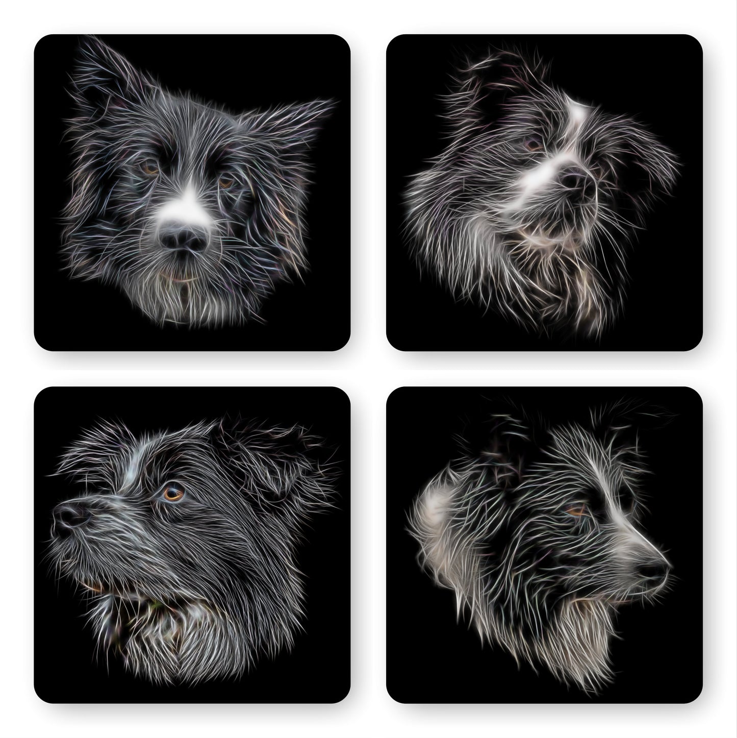 Border Collie Coasters with Stunning Fractal Art Design. Perfect Border Collie Owner Gift.