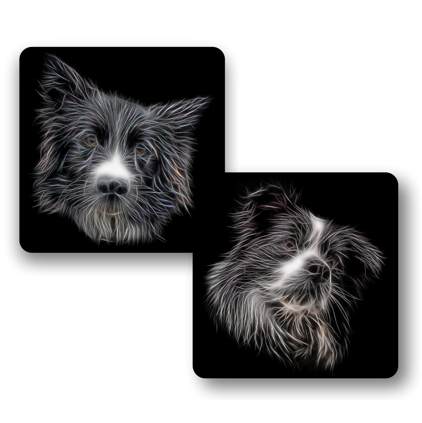 Border Collie Coasters with Stunning Fractal Art Design. Perfect Border Collie Owner Gift.