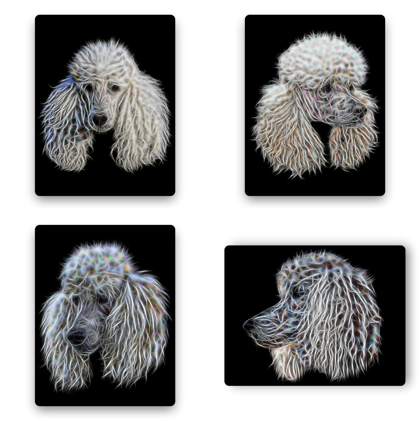 White Standard Poodle Metal Wall Plaque with Stunning Fractal Art Design.