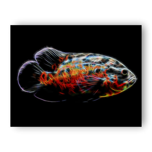 Oscar Cichlid Prints with Stunning Fractal Art Designs.