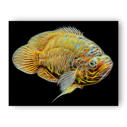 Oscar Cichlid Prints with Stunning Fractal Art Designs.