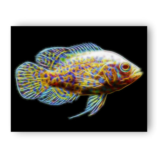 Oscar Cichlid Prints with Stunning Fractal Art Designs.