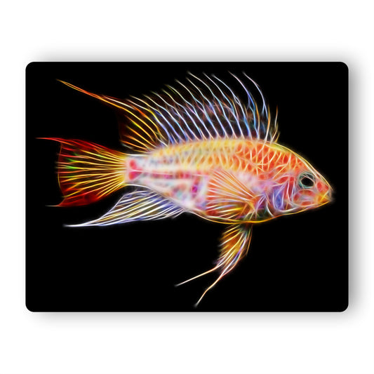 Apistogramma Cichlid Fish Aluminium Metal Wall Plaque.